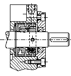 auenliegende Gleitringdichtung